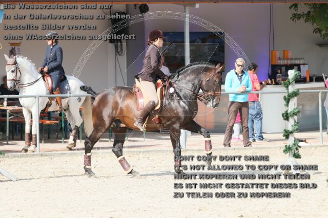 s_IMG_9237.JPG